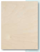 White Birch Veneer Sample
